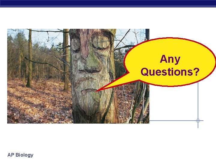 Any Questions? AP Biology 