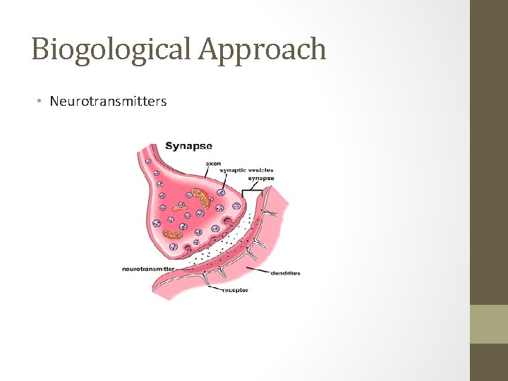 Biogological Approach • Neurotransmitters 