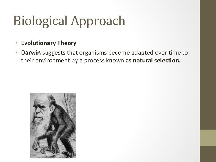 Biological Approach • Evolutionary Theory • Darwin suggests that organisms become adapted over time