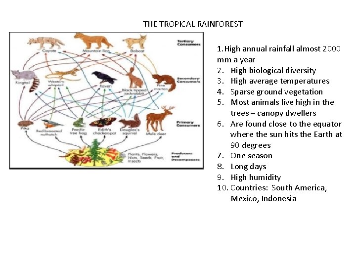 THE TROPICAL RAINFOREST 1. High annual rainfall almost 2000 mm a year 2. High