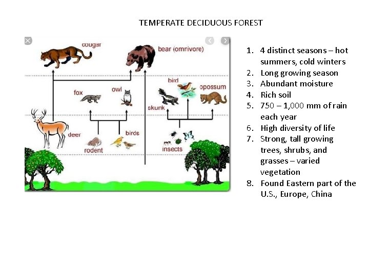 TEMPERATE DECIDUOUS FOREST 1. 4 distinct seasons – hot summers, cold winters 2. Long