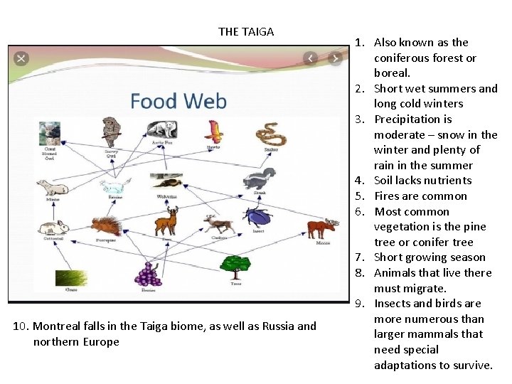 THE TAIGA 10. Montreal falls in the Taiga biome, as well as Russia and