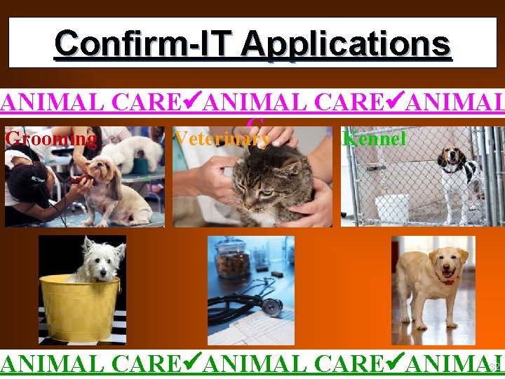 Confirm-IT Applications ANIMAL CARE ANIMAL C Grooming Veterinary Kennel ANIMAL CARE ANIMAL 32 