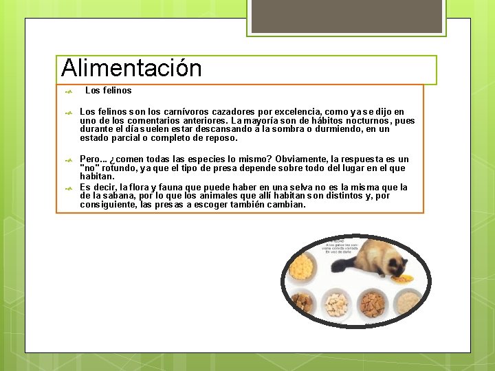 Alimentación Los felinos son los carnívoros cazadores por excelencia, como ya se dijo en