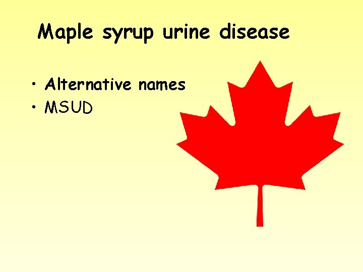 Maple syrup urine disease • Alternative names • MSUD 