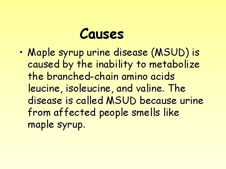 Causes • Maple syrup urine disease (MSUD) is caused by the inability to metabolize