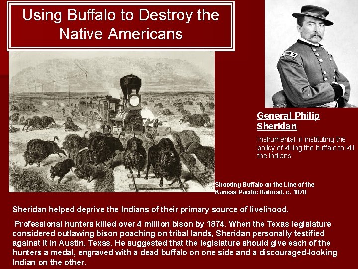 Using Buffalo to Destroy the Native Americans General Philip Sheridan Instrumental in instituting the