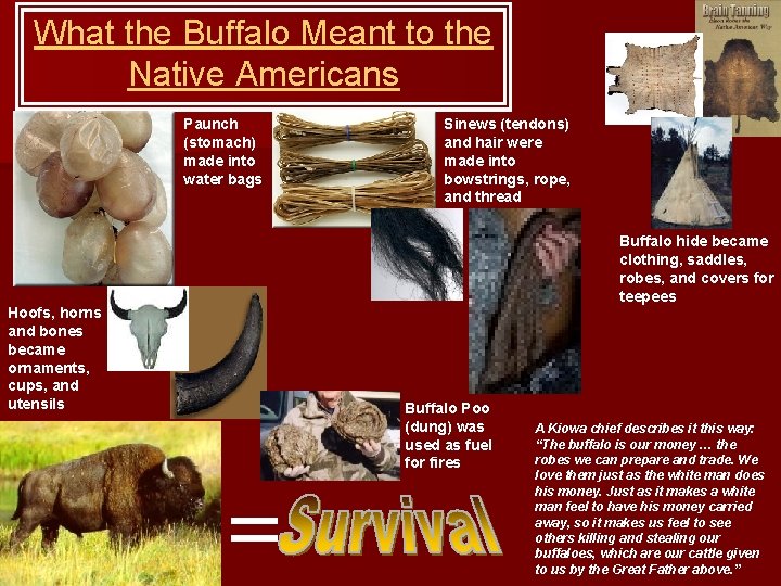 What the Buffalo Meant to the Native Americans Paunch (stomach) made into water bags