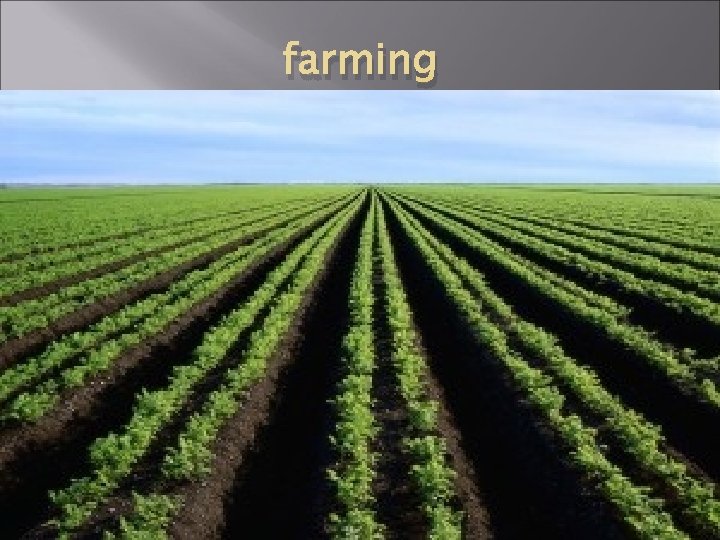 farming 