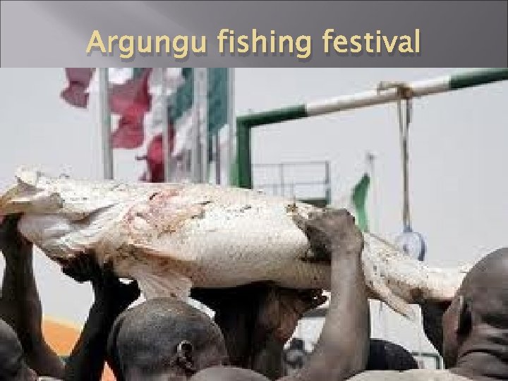 Argungu fishing festival 