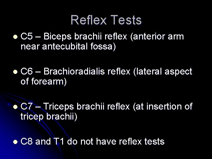 Reflex Tests l C 5 – Biceps brachii reflex (anterior arm near antecubital fossa)
