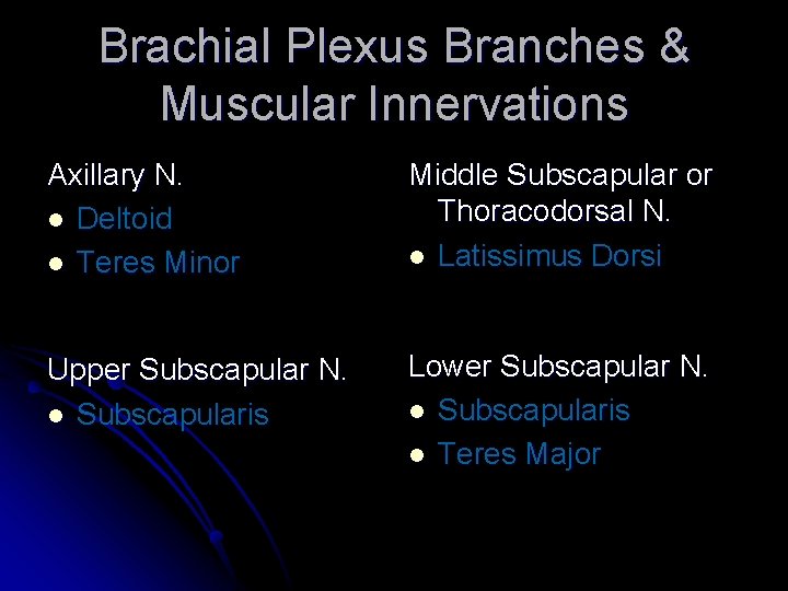 Brachial Plexus Branches & Muscular Innervations Axillary N. l Deltoid l Teres Minor Middle