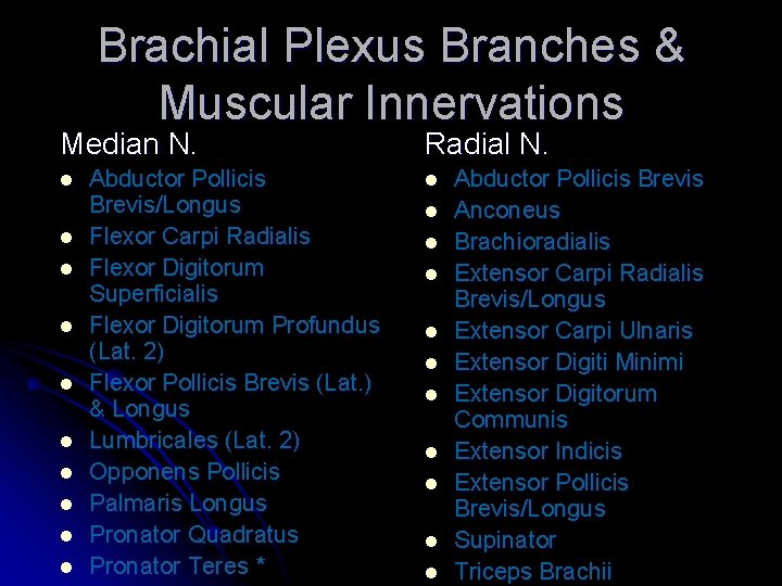 Brachial Plexus Branches & Muscular Innervations Median N. l l l l l Abductor