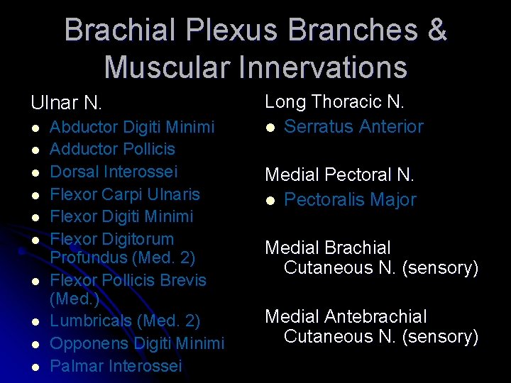 Brachial Plexus Branches & Muscular Innervations Ulnar N. l l l l l Abductor