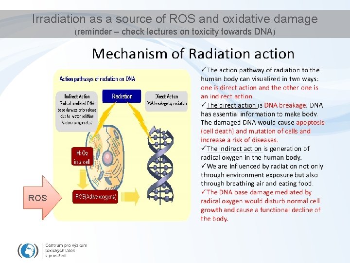 Irradiation as a source of ROS and oxidative damage (reminder – check lectures on