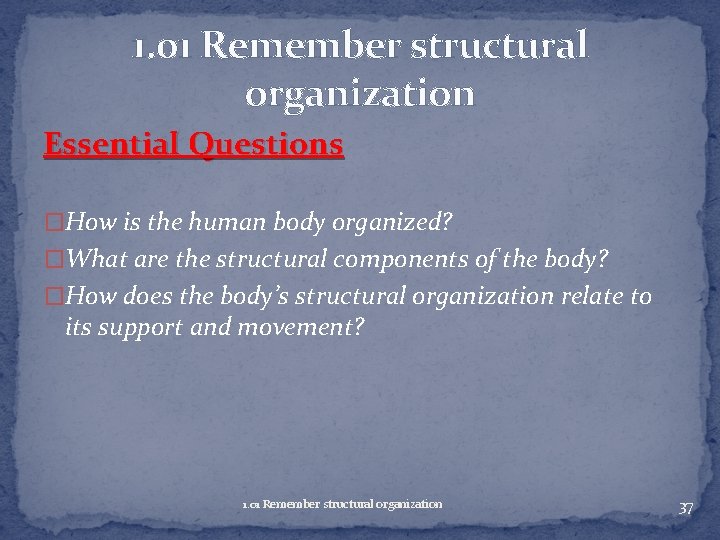 1. 01 Remember structural organization Essential Questions �How is the human body organized? �What