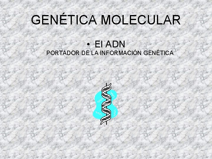 GENÉTICA MOLECULAR • El ADN PORTADOR DE LA INFORMACIÓN GENÉTICA 