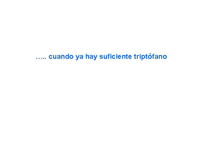 …. . cuando ya hay suficiente triptófano 