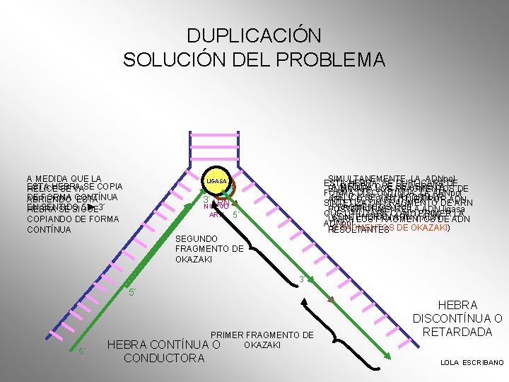 DUPLICACIÓN SOLUCIÓN DEL PROBLEMA A MEDIDA QUE LA ESTA HEBRA HÉLICE SE VASE COPIA