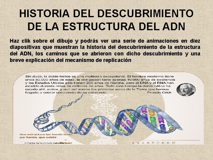 HISTORIA DEL DESCUBRIMIENTO DE LA ESTRUCTURA DEL ADN Haz clik sobre el dibujo y