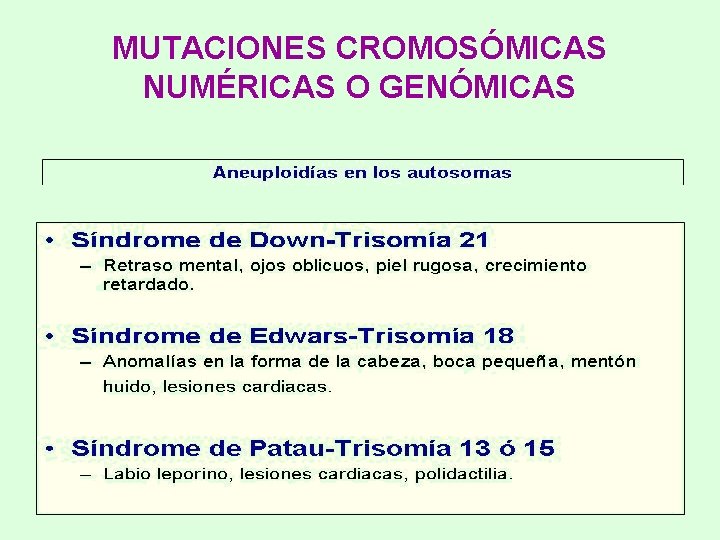 MUTACIONES CROMOSÓMICAS NUMÉRICAS O GENÓMICAS 