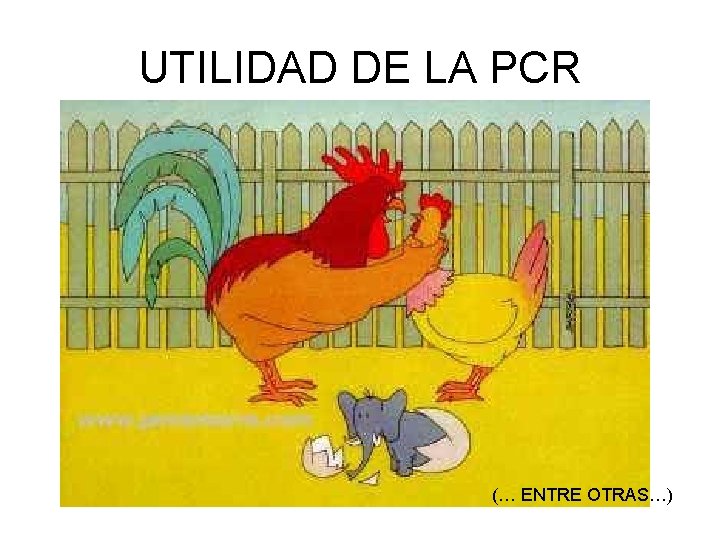 UTILIDAD DE LA PCR (… ENTRE OTRAS…) 