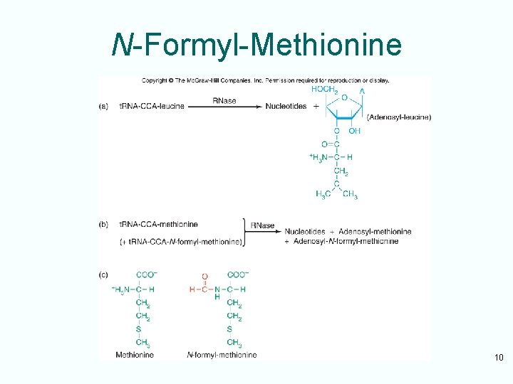 N-Formyl-Methionine 10 