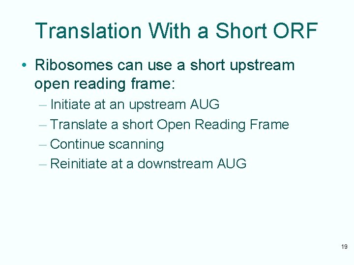 Translation With a Short ORF • Ribosomes can use a short upstream open reading
