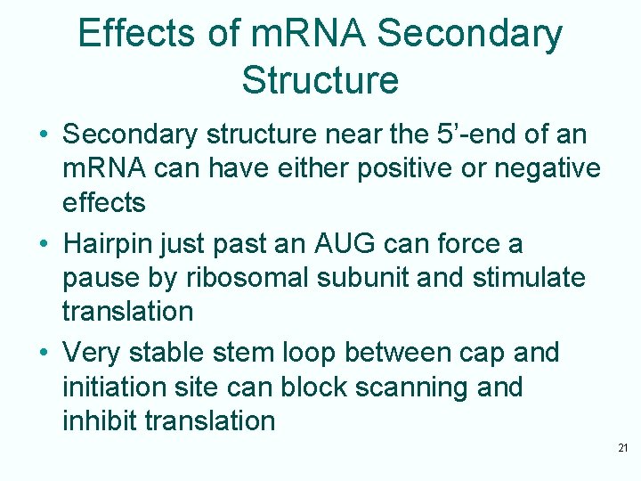 Effects of m. RNA Secondary Structure • Secondary structure near the 5’-end of an