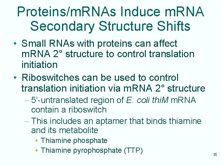 Proteins/m. RNAs Induce m. RNA Secondary Structure Shifts • Small RNAs with proteins can