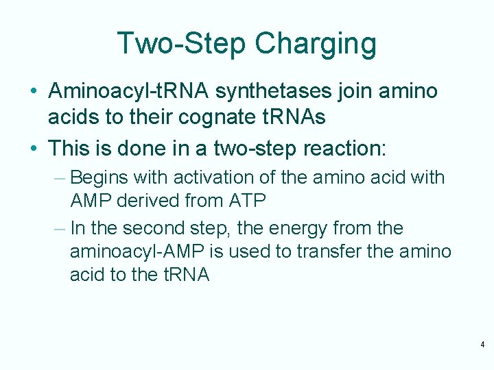 Two-Step Charging • Aminoacyl-t. RNA synthetases join amino acids to their cognate t. RNAs