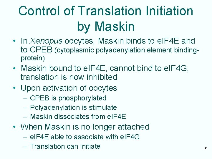 Control of Translation Initiation by Maskin • In Xenopus oocytes, Maskin binds to e.