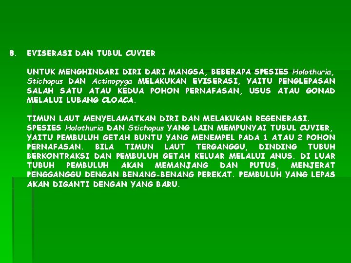 8. EVISERASI DAN TUBUL CUVIER UNTUK MENGHINDARI DIRI DARI MANGSA, BEBERAPA SPESIES Holothuria, Stichopus