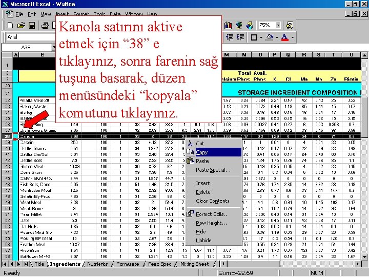 Kanola satırını aktive etmek için “ 38” e tıklayınız, sonra farenin sağ tuşuna basarak,