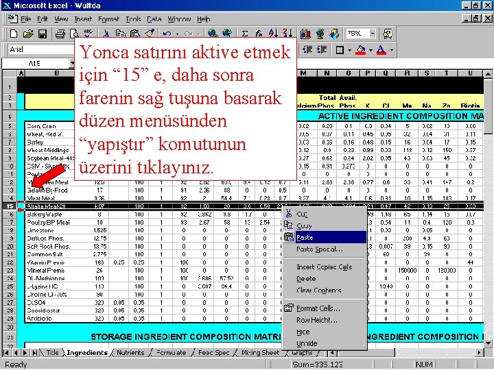 Yonca satırını aktive etmek için “ 15” e, daha sonra farenin sağ tuşuna basarak