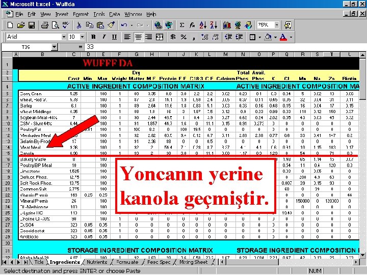 Yoncanın yerine kanola geçmiştir. 