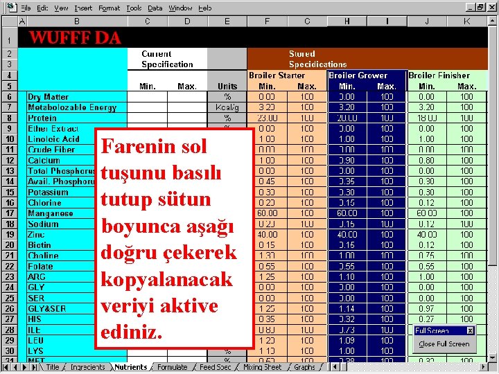 Farenin sol tuşunu basılı tutup sütun boyunca aşağı doğru çekerek kopyalanacak veriyi aktive ediniz.