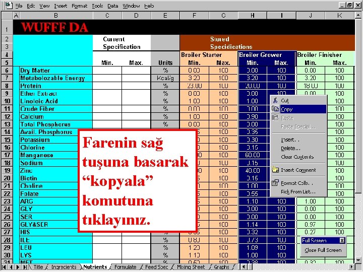 Farenin sağ tuşuna basarak “kopyala” komutuna tıklayınız. 