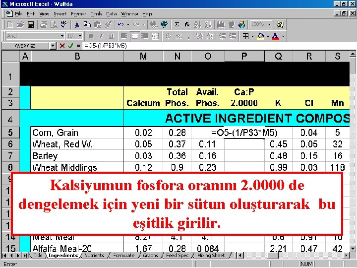 Kalsiyumun fosfora oranını 2. 0000 de dengelemek için yeni bir sütun oluşturarak bu eşitlik