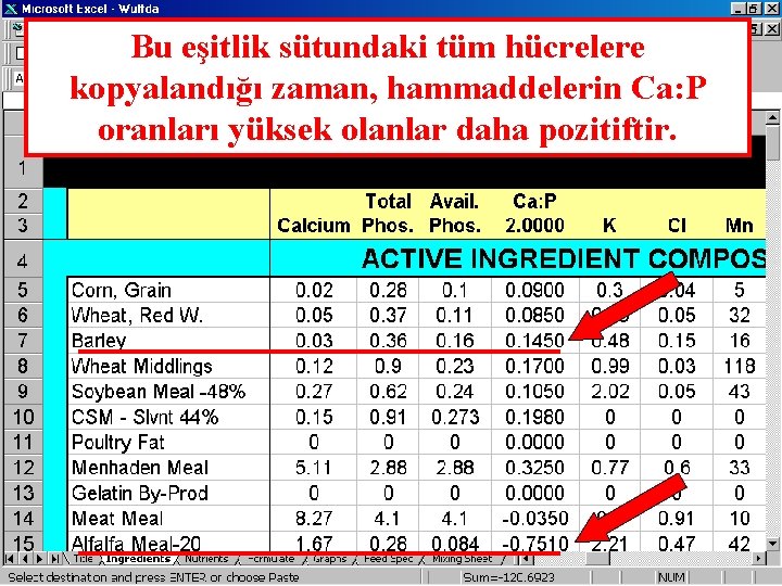 Bu eşitlik sütundaki tüm hücrelere kopyalandığı zaman, hammaddelerin Ca: P oranları yüksek olanlar daha