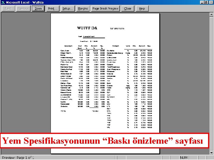 Yem Spesifikasyonunun “Baskı önizleme” sayfası 