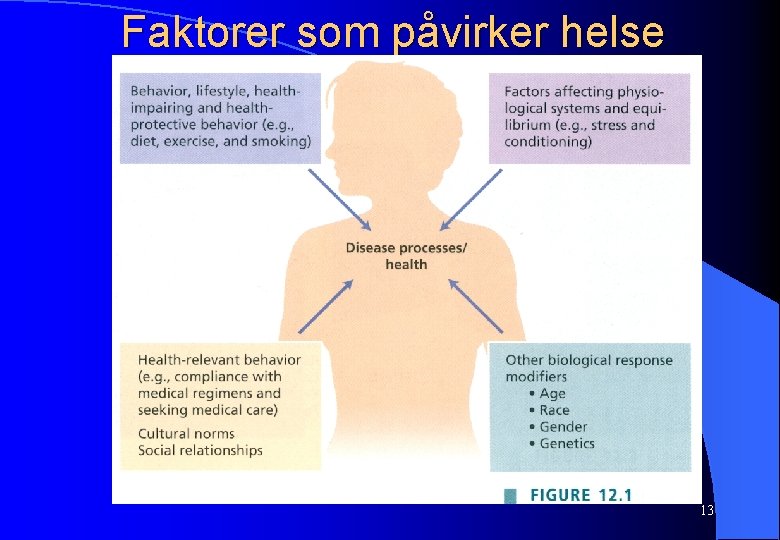 Faktorer som påvirker helse 13 