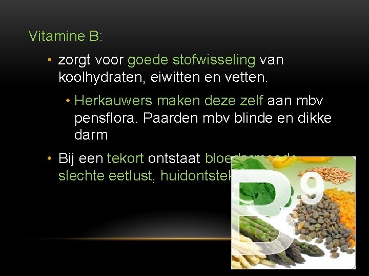 Vitamine B: • zorgt voor goede stofwisseling van koolhydraten, eiwitten en vetten. • Herkauwers