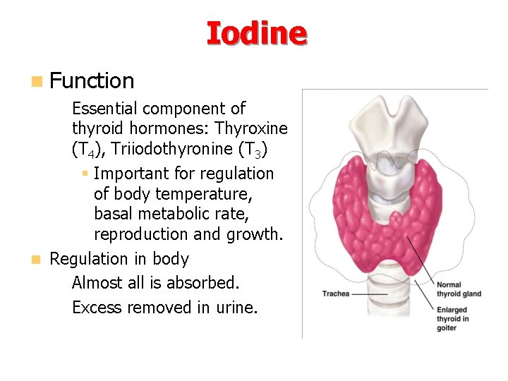 Iodine n Function – Essential component of thyroid hormones: Thyroxine (T 4), Triiodothyronine (T