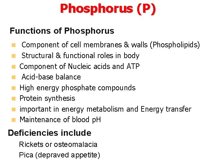 Phosphorus (P) Functions of Phosphorus n n n n Component of cell membranes &