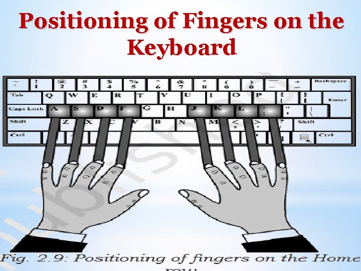 Positioning of Fingers on the Keyboard 