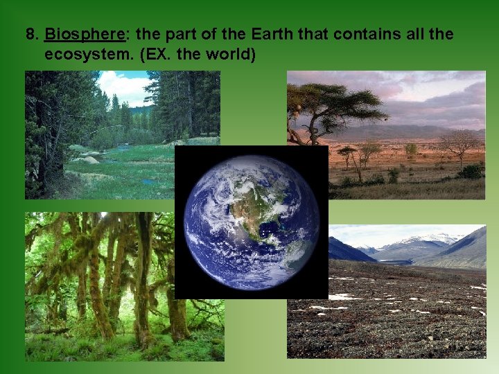 8. Biosphere: the part of the Earth that contains all the ecosystem. (EX. the