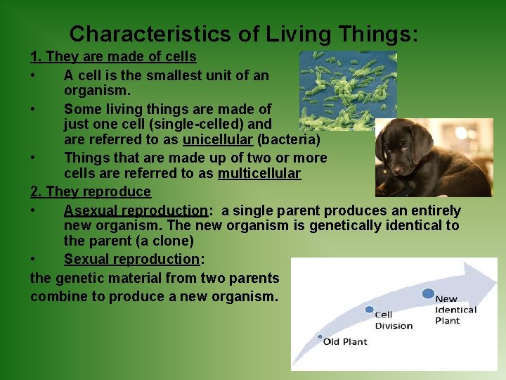 Characteristics of Living Things: 1. They are made of cells • A cell is