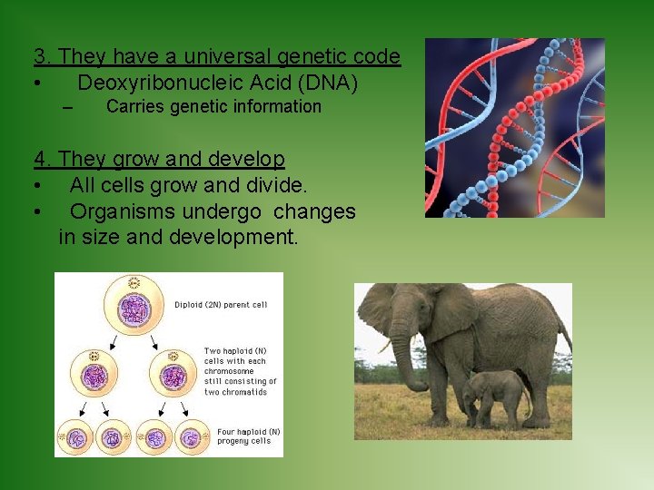 3. They have a universal genetic code • Deoxyribonucleic Acid (DNA) – Carries genetic