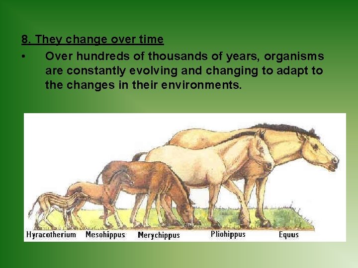8. They change over time • Over hundreds of thousands of years, organisms are